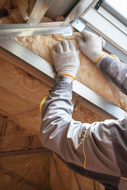 Best Eco-Friendly Insulation in Flint, MI